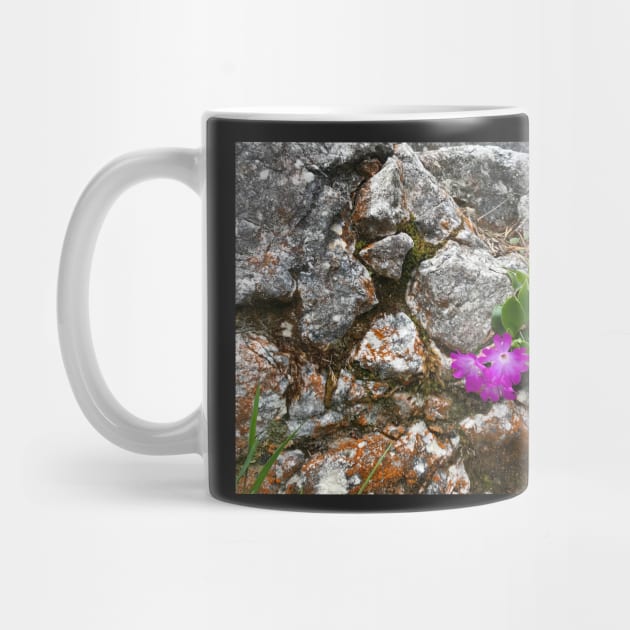 Purple Alpine Flower in Rocks by ephotocard